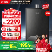 万家乐安睡洗 燃气热水器16升一级轻音零冷水智慧伺服恒温家用防冻wifi智控天然气JSQ30-16RL10