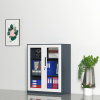 臻远文件柜办公柜钢制铁皮柜资料档案储物柜拆装窄边柜灰白色加厚款 1090对开玻柜