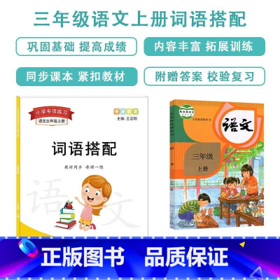 词语搭配(三年级上下册共2本) [正版]帝源三年级上册下册词语搭配选字词填空重叠词aabbcc照样子词语积累强化练习练习