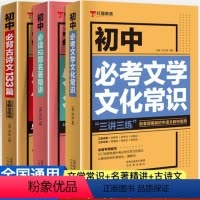 [初中]语文知识积累3件套 初中通用 [正版]初中 古诗文133篇七八九年级文化文学常识积累中学生名著导读考点精练精