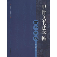 音像甲骨文书法字帖韩志强 著