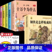 [6本]四下5本+钢铁是怎样炼成的 [正版]十万个为什么米伊林四年级下册阅读课外书必读灰尘的旅行高士其书目快乐读书吧爷爷