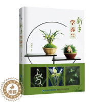 [醉染正版]新手学养兰养花 兰花书籍大全养兰花的书兰花种植养殖技术中国兰花全书 兰花书籍大全 鉴赏 养花书籍种花大全植物