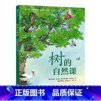 树的自然课 [正版] 树的自然课 动手体验大自然 6岁以上少儿科普图画书植物百科树木科普 童书