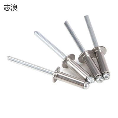 志浪 不锈钢抽芯拉铆钉3.2*16 个