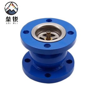 垒锐 止逆阀DN65 个