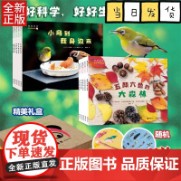 好好科学系列(第二辑10册)好好科学好好生活 科学好好看科学好好玩 3-6岁孩子科学科普 50年历史经典月刊品牌正版书籍
