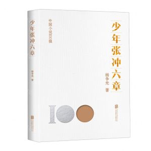 [N]少年张冲六章/中国小说100强-9787559670717