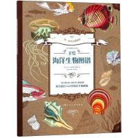 正版新书]手绘海洋生物图谱法国Fleurus出版社专业团队978755860