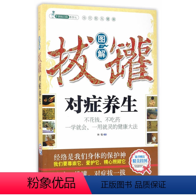 [正版] 手到病自除系列七 小穴位大健康 图解拔罐对症养生(随书精美挂图)林敬主编 中医古籍出版社
