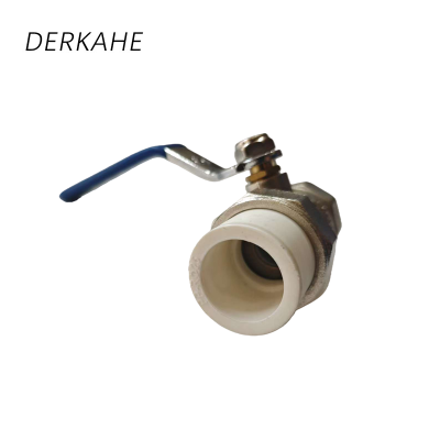 DERKAHE 全铜中型PPR内丝球阀 DE20 个