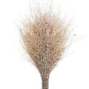 匹牧竹扫把3.8斤连体无叶单位:把