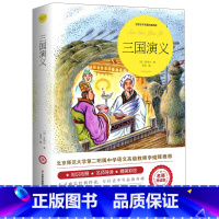 三国演义 [正版]爱丽丝漫游奇境记书 爱丽丝梦游仙境书六年级下册必读书目 小学生课外书奇镜彩绘原版原著阅读书籍五年级老师