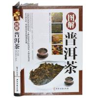 正版新书]精装彩色版图解普洱茶宋全林9787515213941