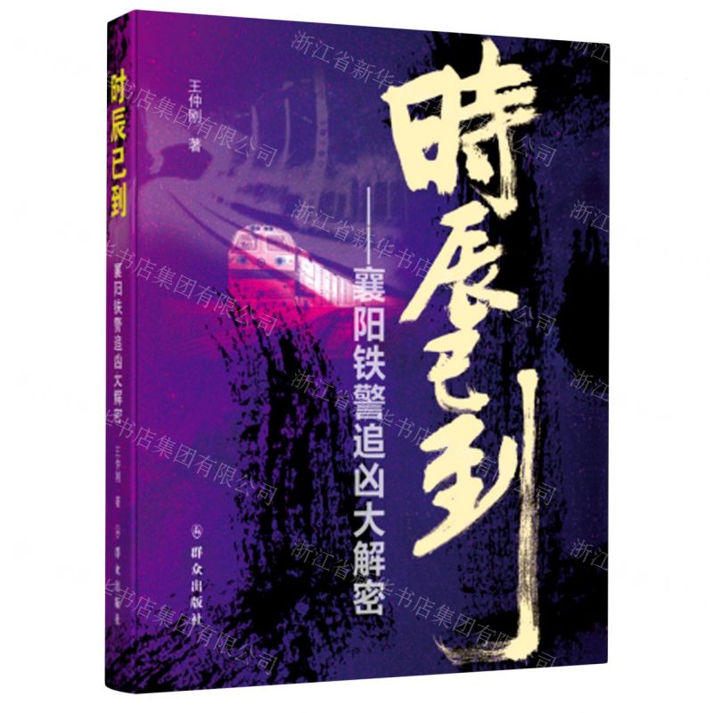 [N]时辰已到--襄阳铁警追凶大解密-9787501459285