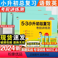 [3本全套]小升初总复习-语数英 小学升初中 [正版]2024新53小升初总复习真题卷语文数学英语六年级下册5.3五三必