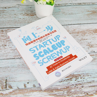 向上一步(精益敏捷中的增长思维与实践)