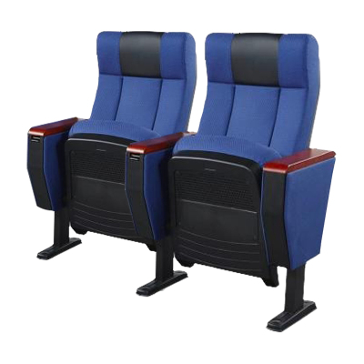 臻远ZY-LTY-37礼堂椅剧院椅会议室椅子蓝色不带后写字板双人位