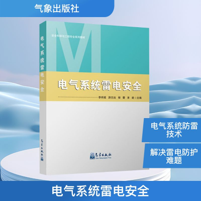 正版新书]电气系统雷电安全李祥超等 编9787502974008