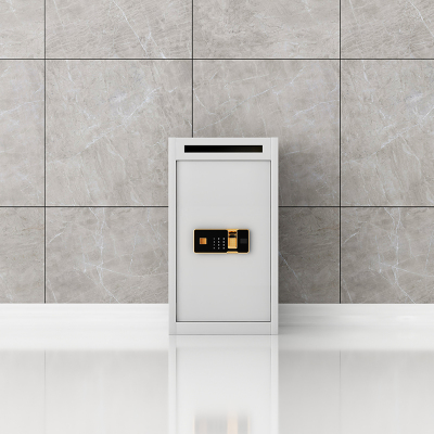 臻远 ZY-DXG-10 文件待销柜密纸回收箱 指纹锁 430*550*650