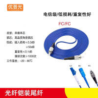 优普光铠装尾纤FC-FC(10米)