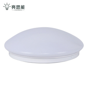 亮思能 LED吸顶灯 圆形吸顶灯 LSN-XAB 面经270mm 个