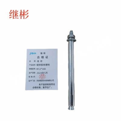JIBIN/继彬 GB22795-表5 膨胀螺栓 碳钢 镀白锌 M12×300 个