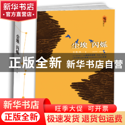 正版 尘埃 闪烁 王哲珠著 百花洲文艺出版社 9787550027831 书籍