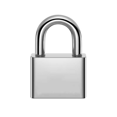 茉冉 不锈钢挂锁 50短梁/把