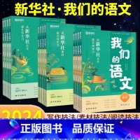 高分作文套装[阅读+写作+素材] 高中通用 [正版]2024高中我们的语文社高一高二高三阅读技法写作技巧素材积累高考写作
