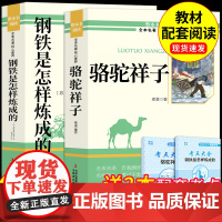 骆驼祥子和钢铁是怎样炼成的原著老舍七年级下册必读正版的课外书初一7下配套人教版名著书目初中课外阅读书籍海底两万里怎么样练