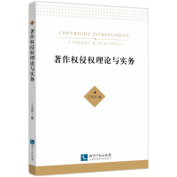 音像著作权侵权理论与实务丁文杰