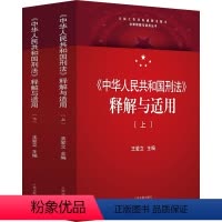 [正版]《中华人民共和国刑法》释解与适用(全2册)