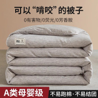 冬季大豆被子被芯加厚保暖冬被春秋被单人棉被被絮四季通用四季被