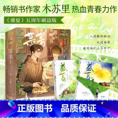 [刷边典藏版]盛夏套装 [正版]典藏刷边版 盛夏套装 木苏里著 小说实体书 热血青春力作 江添盛望 内含精美彩插图 随书