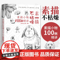 素描不枯燥 素描小物100例精讲画画入门自学零基础学绘画教材人物结构石膏静物手绘教程书临摹画册本铅笔画初学者速写基础书籍