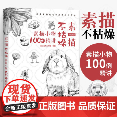 素描不枯燥 素描小物100例精讲画画入门自学零基础学绘画教材人物结构石膏静物手绘教程书临摹画册本铅笔画初学者速写基础书籍