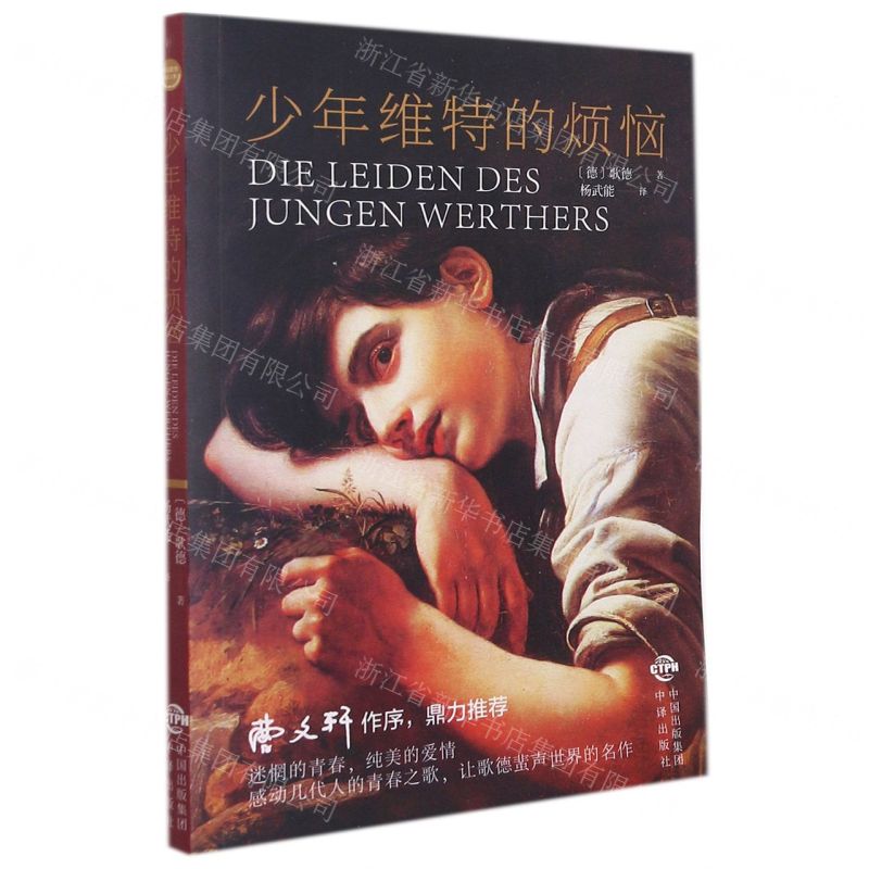 [N]少年维特的烦恼-9787213105777