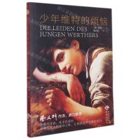 [N]少年维特的烦恼-9787213105777
