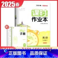 九年级下册英语译林版南通专用 九年级下 [正版]2025课时作业本九年级上册下册语文数学英语物理化学道德与法治历史江苏人