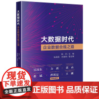 正版 大数据时代企业数据合规之路 杨杰 主编 张昌倩 冯清清 副主编 法律出版社