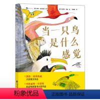 当一只鸟是什么感觉 [正版]浪花朵朵 当一只鸟是什么感觉 6岁以上 动物行为观鸟 鸟类小百科 科普图书