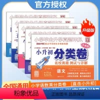 数学分类卷 小学升初中 [正版]2023版百校联盟分类卷小学毕业升学真题详解重点中学招生分班新真题四五年级小升初语文数学