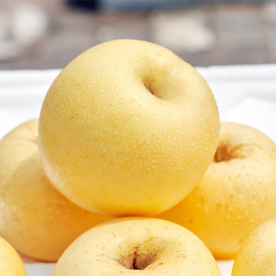 麦兴 奶油富士苹果 精品果5斤装 单果200-250g 10-12枚 烟台栖霞黄金