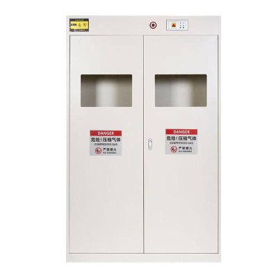 豫众诺 防爆气体存放柜 二代报警器白色三瓶 台