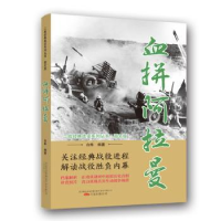 音像血拼阿拉曼白隼 著