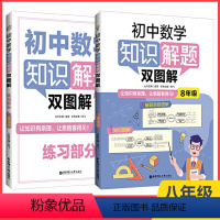 数学知识解题双图解[八年级2册] 初中通用 [正版]初中数学知识解题双图解 七八九年级物理化学公式定理手册基础知识大全思