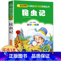 昆虫记 [正版]科学家的故事注音版书 中外名人故事100个 二年级课外书必读老师经典书目 小学生语文课外阅读书籍 7-8