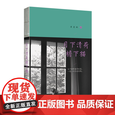 月下清荷檐下猫