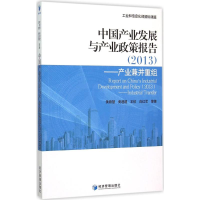 音像中业发展与产业政策报告(2013)黄群慧 等 著